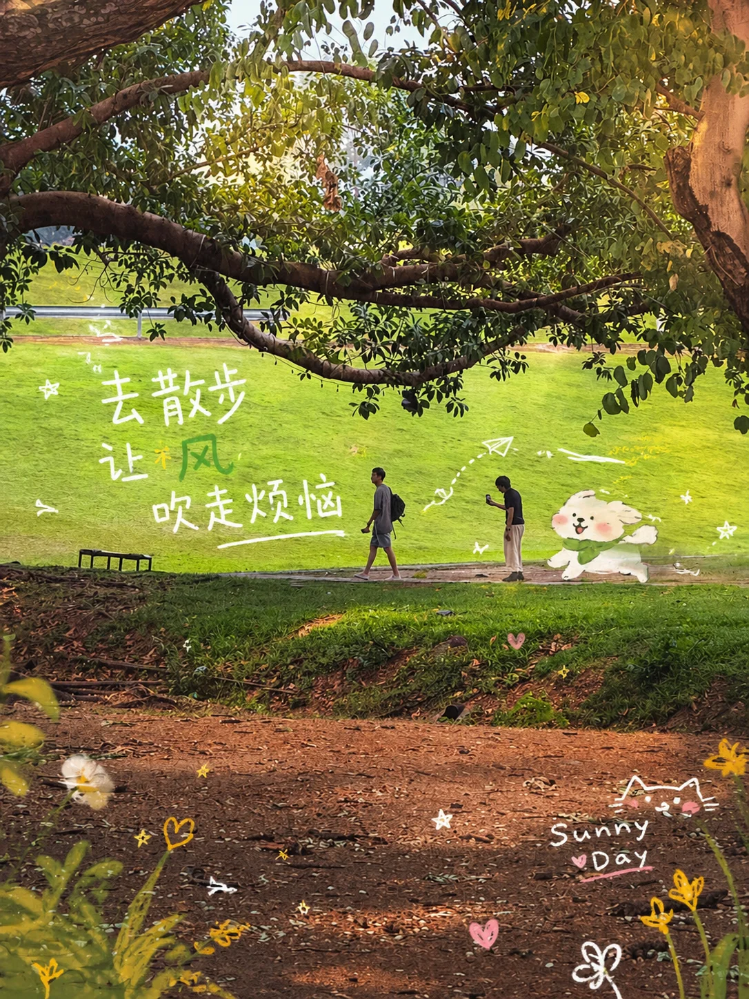清迈大学校园绿地